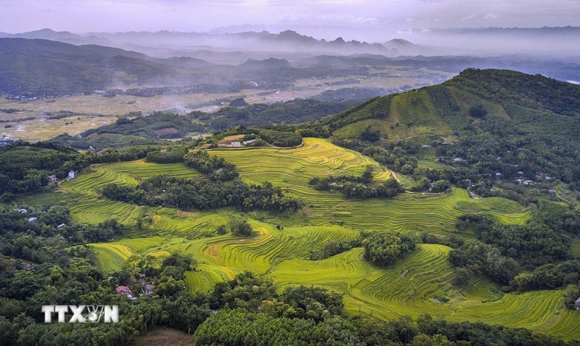 Mien Doi terraced fields in Thuong Coc, Phu Tho (Photo: VNA)