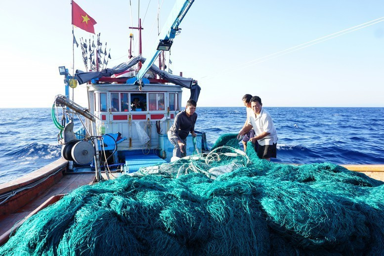 The Coast Guard Region 3 Command launches a peak campaign to strengthen patrols, inspections, and law enforcement to combat illegal, unreported, and unregulated (IUU) fishing. (Photo: VGP)