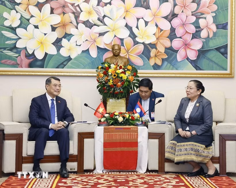 Politburo member, Secretary of the Communist Party of Vietnam (CPV) Central Committee and Chairman of the CPV Central Committee’s Organisation Commission Le Minh Hung (L) holds talks with Sisay Leudetmounsone, Politburo member, Secretary of the Lao People's Revolutionary Party (LPRP) Central Committee and Chairwoman of the LPRP Central Committee's Organisation Commission, in Vientiane on December 2 (Photo: VNA)