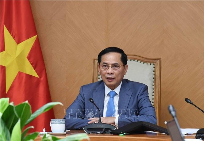 Deputy Prime Minister Bui Thanh Son (Photo: VNA)
