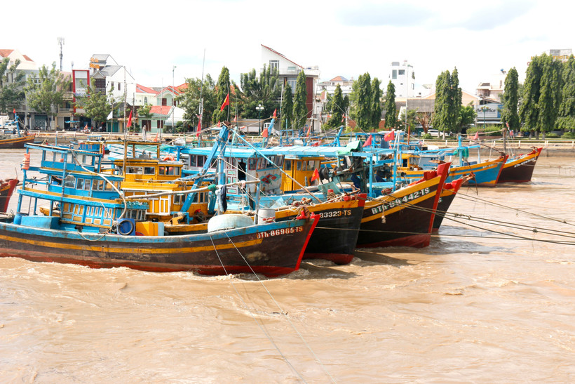 Lam Dong's fishing boat anchored on Ca Ty river, Phan Thiet ward, lam Dong province (Photo: VNA)
