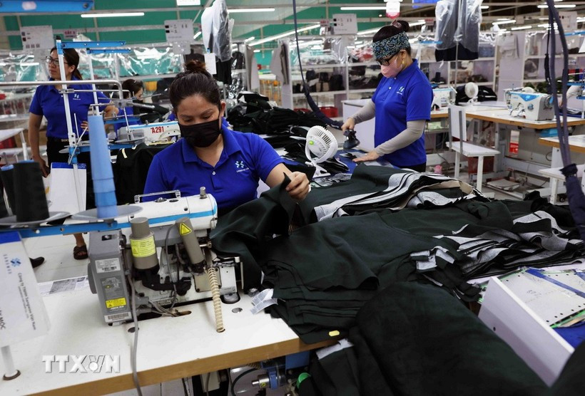Producing apparel for export to Europe (Photo: VNA)