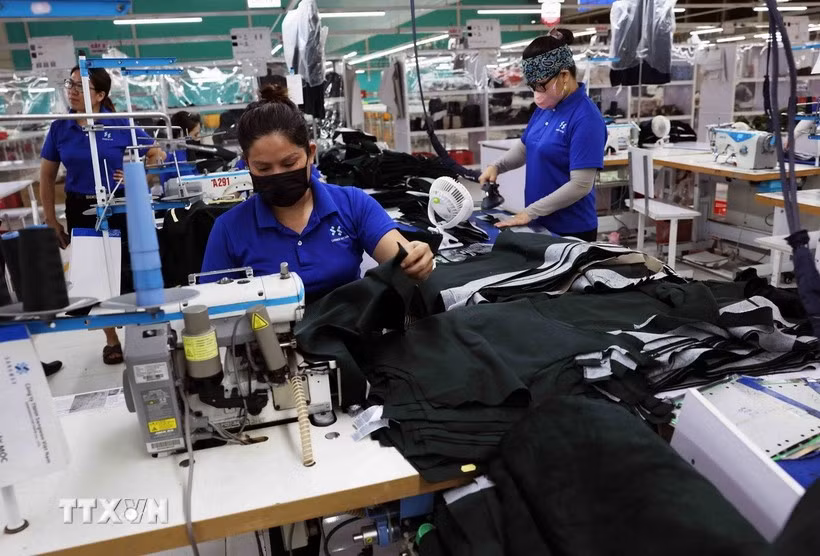 Workers sew garments for export to the European market at the factory of SangWoo Vietnam Co., Ltd. in VSIP Nghe An Industrial Park (Photo: VNA)