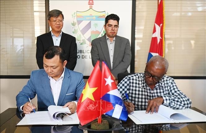 The Hoang Gia Viet Food JSC of Vietnam signs an economic cooperation contract with Alquizar, an agricultural company of the Artemisa Agroforestry Business Group, to cultivate cashew and short-cycle crops in Cuba. (Photo: VNA)