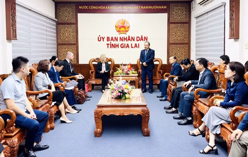 At the handover ceremony (Photo: VNA)