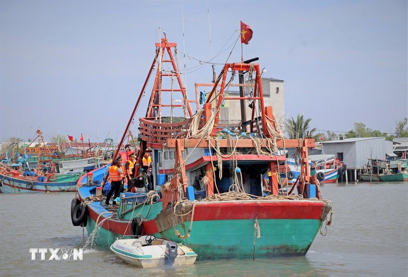 Under a resolution adopted by Quang Ngai provincial People’s Council at its 8th session on December 30, owners who dismantle their fishing vessels will receive a one-off support payment equivalent to 40% of the vessel’s assessed value at the time of valuation (Photo: VNA)