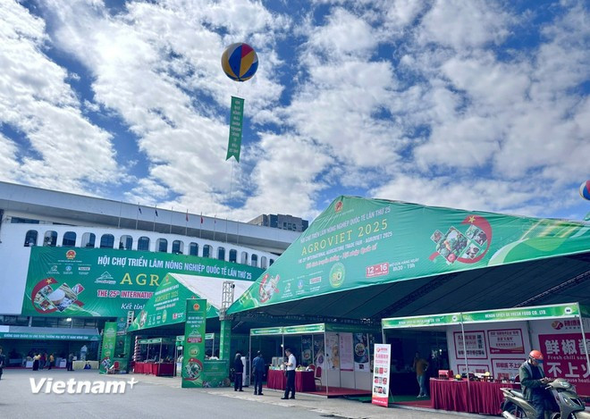 Rising demand in China presents significant opportunities for Vietnam’s key commodities (Photo: VietnamPlus)