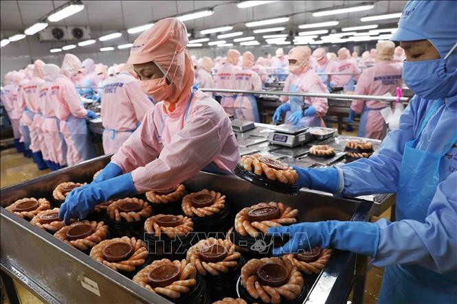According to the Ministry of Agriculture and Environment, the sector's GDP growth reached around 3.7-3.92% in 2025. (Photo: VNA)