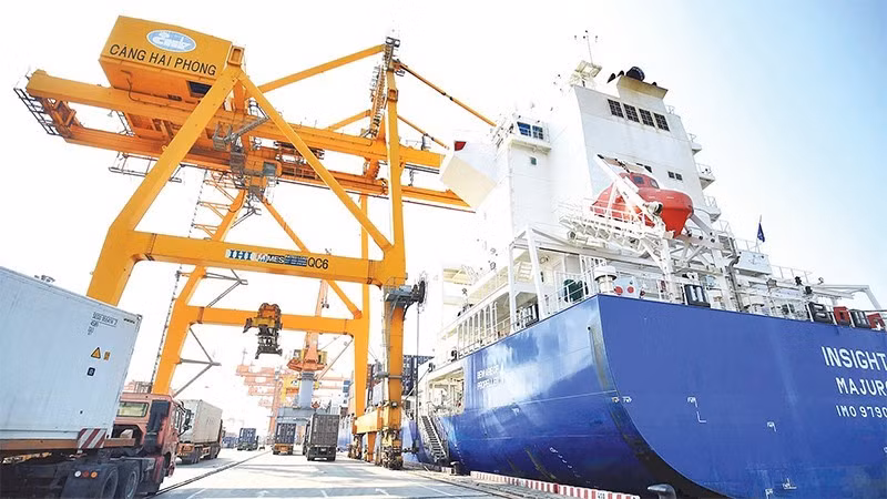Import and export activities at Hai Phong Port (Photo: nhandan.vn)