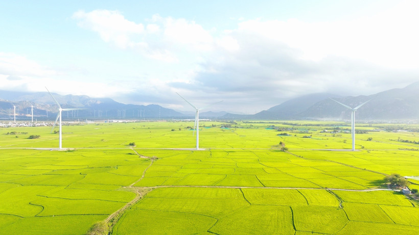A wind farm in Khanh Hoa (Photo: VNA)