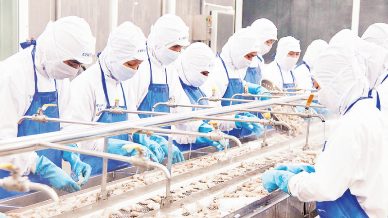Workers process frozen shrimp for export at the Coastal Fisheries Development Company (COFIDEC), Ho Chi Minh City. (Photo: nhandan.vn)