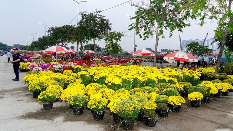 Visitors to the Binh Dien Spring Flower Market can choose from hundreds of flower and plant varieties typical of southern Tet celebrations such as yellow apricot blossoms, chrysanthemum displays, artistic bonsai and a wide range of orchids. (Photo: nhandan.vn)
