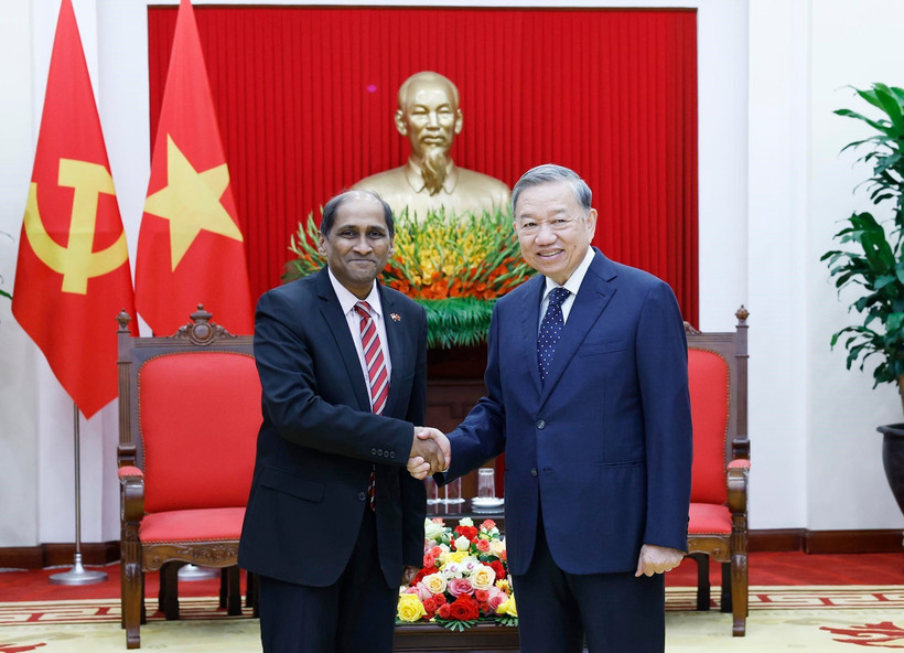 Party General Secretary To Lam (R) and outgoing Singaporean Ambassador to Vietnam Jaya Ratnam (Photo: VNA)