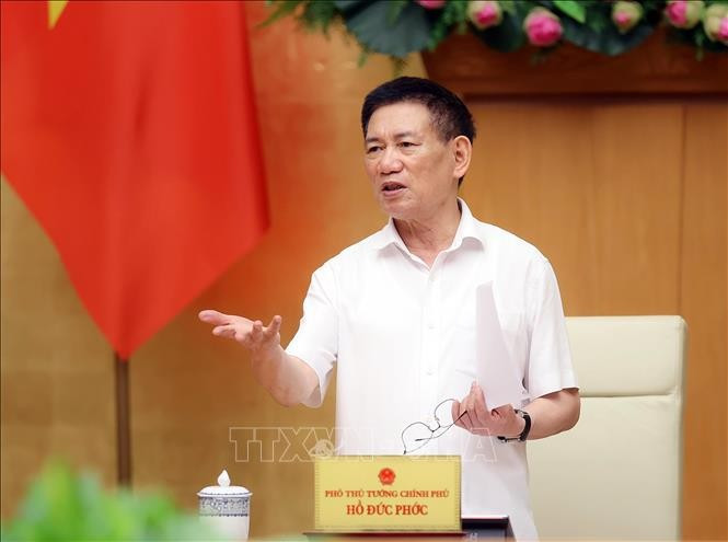 Deputy Prime Minister Ho Duc Phoc speaks at the meeting in Hanoi on October 14. (Photo: VNA)