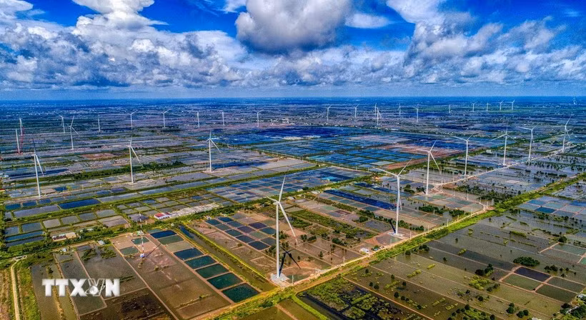 The coastal wind farm in Bac Lieu provides a plentiful source of energy. (Photo: VNA) 