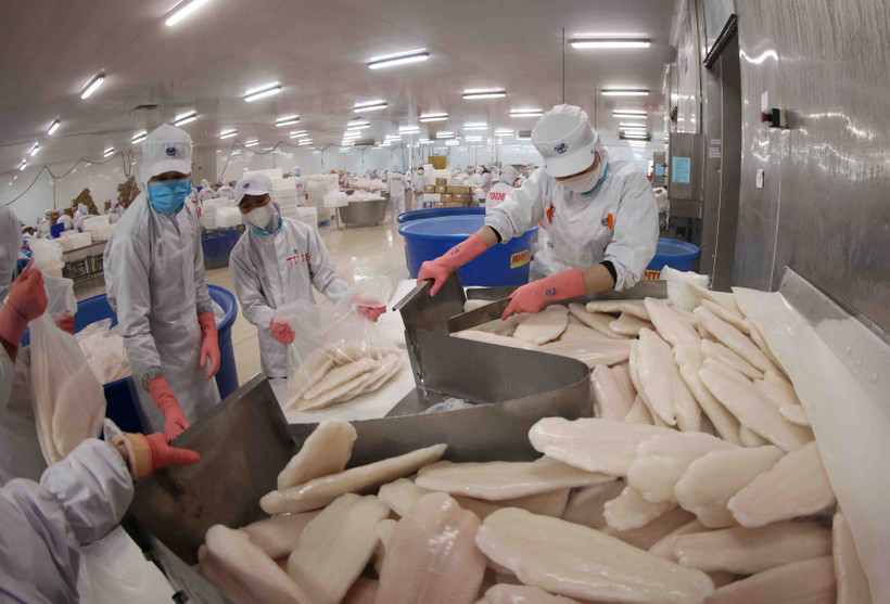 The Middle Eastern market favours Vietnamese pangasius exports that meet Halal standards (Photo: VNA)