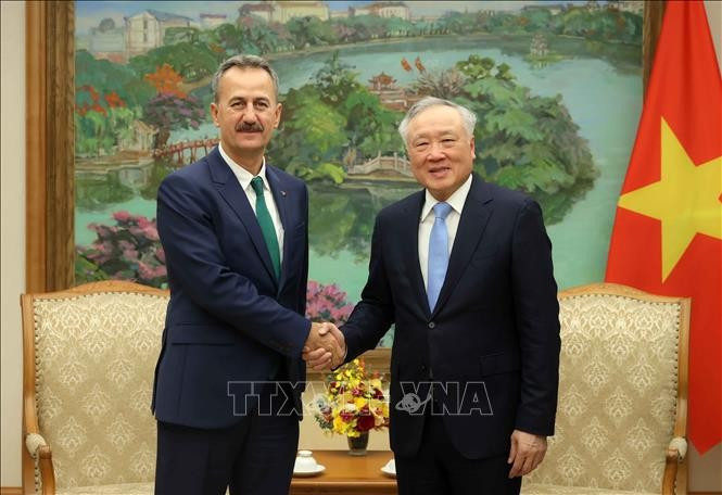 Deputy Prime Minister Nguyen Hoa Binh (R) and President of the Turkish Defence Industry Agency Haluk Görgün at their meeting in Hanoi on October 14. (Photo: VNA)