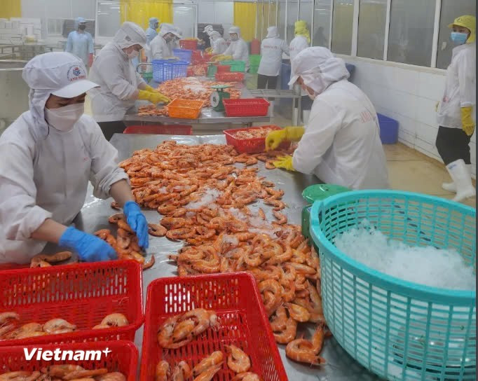 HSBC experts say Vietnam’s economy is growing fastest in ASEAN. (Photo: VietnamPlus)