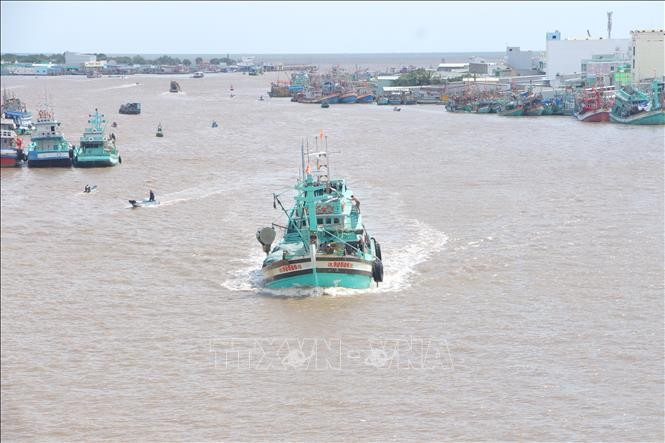 Fishing boats at the Doc River estuary, Ca Mau province. (Photo: VNA)