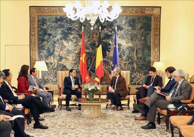 Deputy Prime Minister Bui Thanh Son (fifth, left) meets with President of the Belgian House of Representatives Peter De Roover (fourth, right) on October 10. (Photo: VNA)