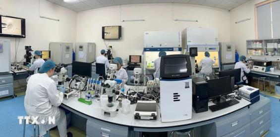 A biotechnology laboratory of the International University at Vietnam National University-Ho Chi Minh City. (Photo: VNA)