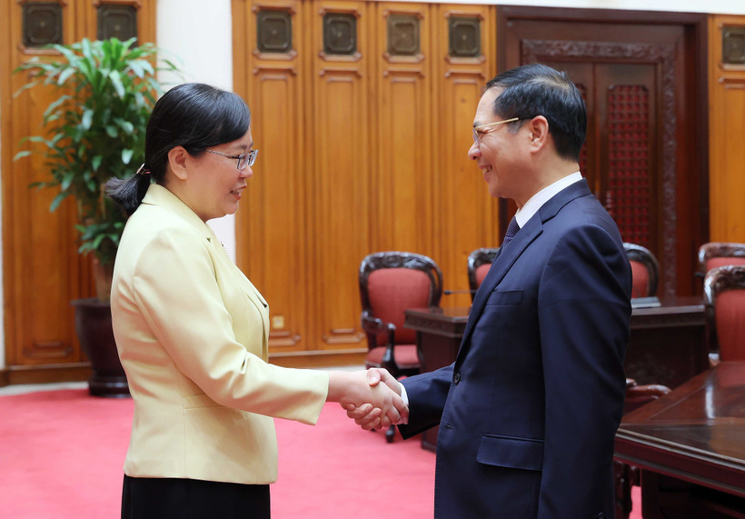 Deputy Prime Minister Bui Thanh Son meets with Zhang Guozhi, Deputy Governor of China’s Guangdong province, in Hanoi on October 28. (Photo: VNA)