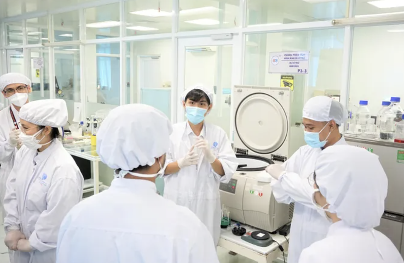 Experts working at the stem cell laboratory of the University of Science under the Vietnam National University, Ho Chi Minh City. (Photo: sggp.org.vn)