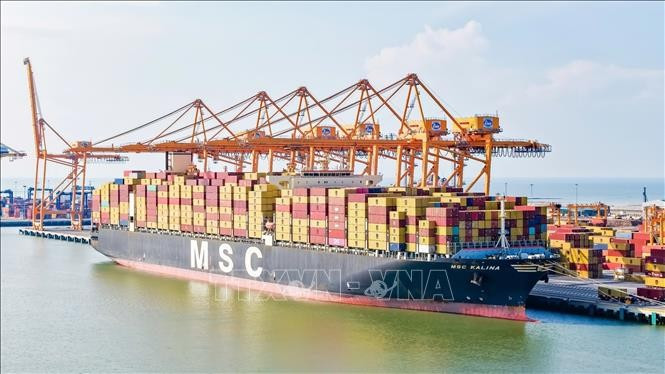 MSC KALINA container ship docks in Lach Huyen port, Hai Phong city (Photo: VNA)