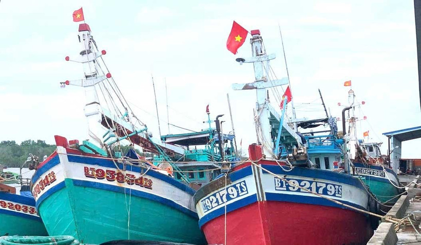 At Ba Tri fishing port in Vinh Long province (Photo: VNA)