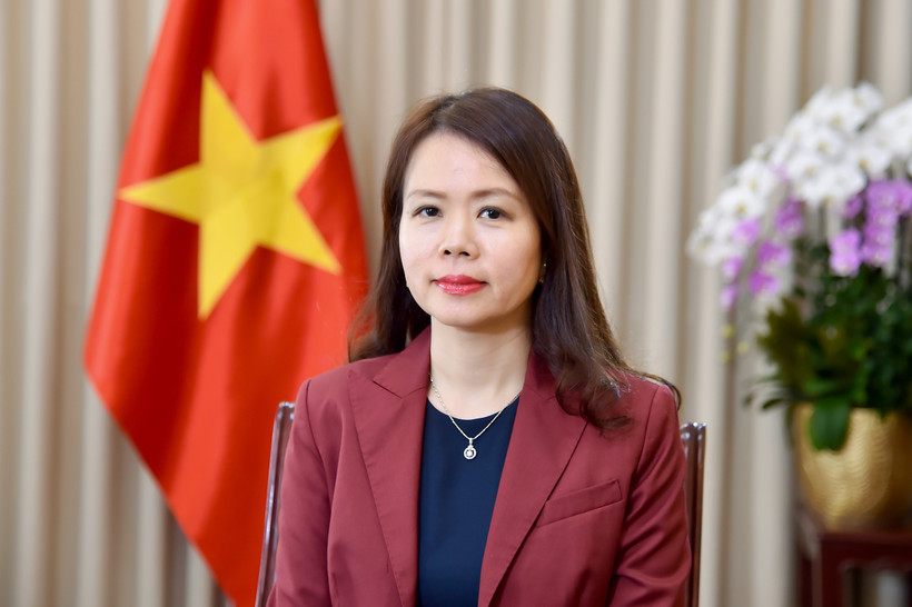 Deputy Minister of Foreign Affairs Nguyen Minh Hang. (Photo courtesy of the Ministry of Foreign Affairs)