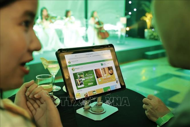 Illustrative image (Photo: VNA)