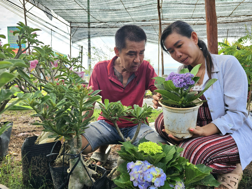 Le Hong Phuc and his wife Vo Thi Loan in Vinh Long province have developed their production of ornamental pots and bonsai trees using policy-based credit (Photo: VNA)