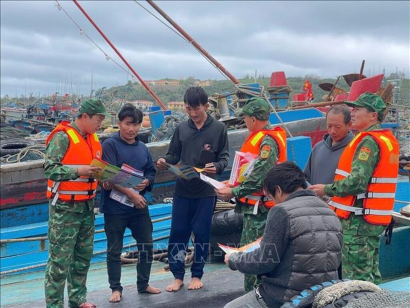 Border guard coordinate with coast guard forces to raise fishermen's awareness against IUU fishing at Bach Long Vi port. (Photo published by VNA)