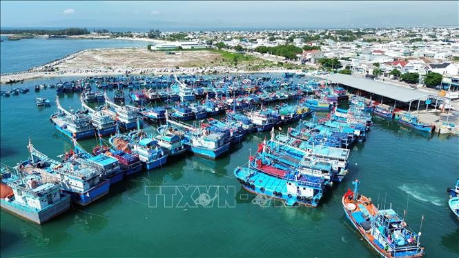 Offshore fishing fleet docks at My Tan fishing port in Thanh Hai commune , Ninh Thuan province. (Photo: VNA)