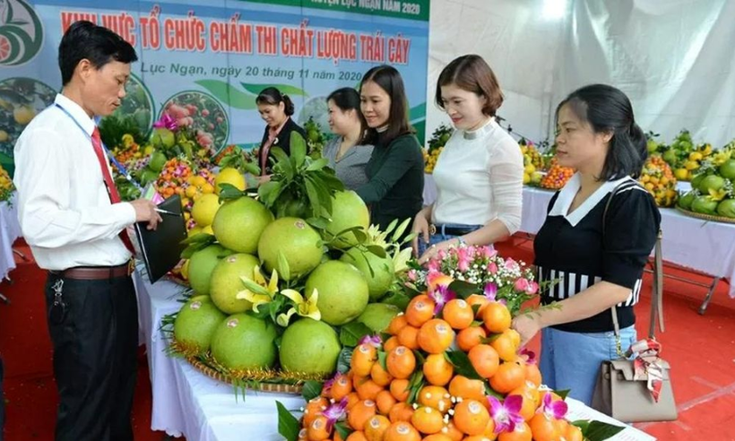 The Bac Ninh Fruit Festival 2025 will feature many new highlights. (Photo: Bac Ninh Newspaper)