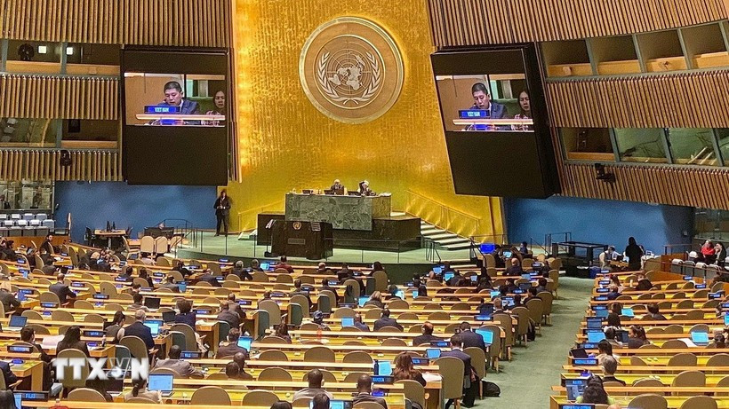 A Vietnamese representative speaks at an event adopting the Hanoi Convention on December 24, 2024 (Photo: VNA)