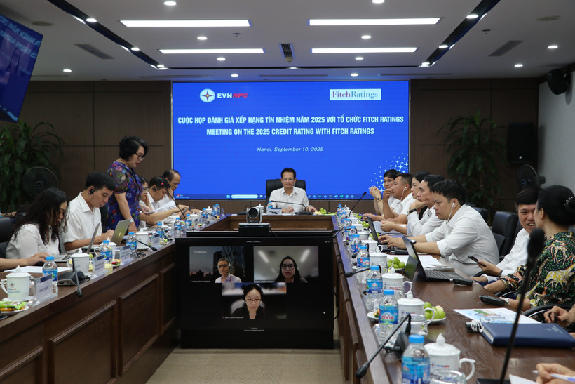 Nguyen Duc Thien, General Director of Vietnam Electricity (EVN)’s Northern Power Corporation (centre), chairs the working session with credit rating organisation Fitch Ratings (Photo: npc.com.vn)