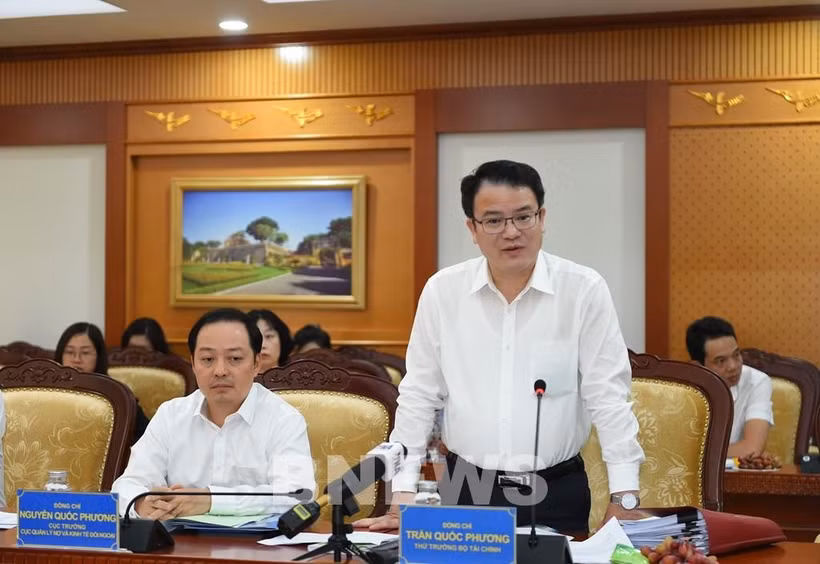 Deputy Minister of Finance Tran Quoc Phuong addresses the conference. (Photo: VNA)