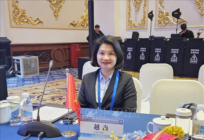 Dr. Pham Thi Thanh Loan, General Director of Guangdong Viet-Viet Tourism and Trade Services Co., Ltd. (Photo: VNA broadcasts)