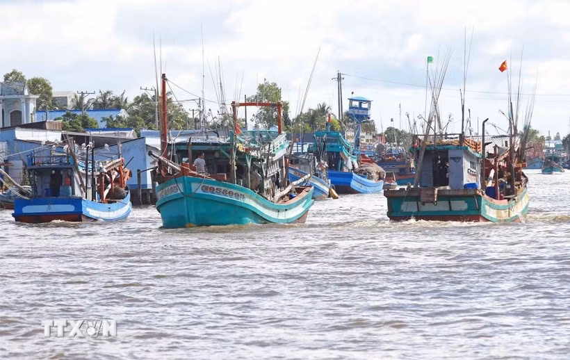 The WTO Agreement on Fisheries Subsidies, adopted at the WTO’s 12th Ministerial Conference in 2022, prohibits subsidies that contribute to overfishing or illegal, unreported and unregulated (IUU) fishing. (Photo: VNA)