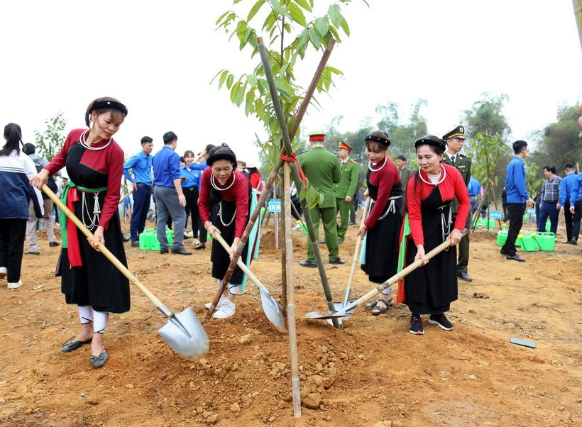 Residents of Tuyen Quang province take part in the One Billion Trees Programme. (Photo: VNA)