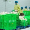 Workers package coconuts for export at an enterprise in Vinh Long province. (Photo: nhandan.vn) 