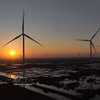 A wind farm in Ca Mau province (Photo: VNA)
