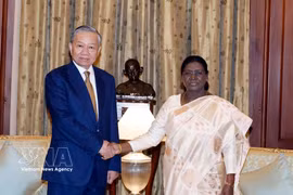 General Secretary of the Communist Party of Vietnam Central Committee and State President To Lam meets with Indian President Droupadi Murmu in New Delhi on May 6 afternoon (local time). Photo: VNA