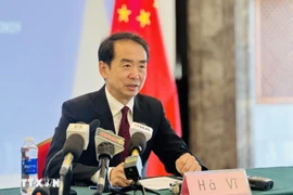 Chinese Ambassador to Vietnam He Wei. Photo: VNA