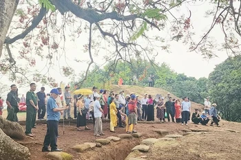 Tourists visit the A1 Hill in the special national relic site of Dien Bien Phu Battlefield (Photo: Saigon Giai Phong Newspaper)