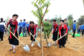 The “planting a billion trees for 2021-2025” project receives enthusiastic response from local residents. (Photo: VNA)