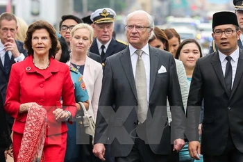 Sweden seeks opportunities to promote cooperation with Indonesia