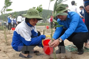 USAID programme helps protect environment in Nam Dinh