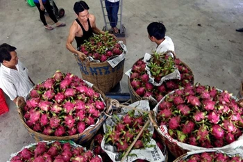 Agriculture research results remain on paper